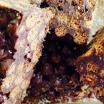Medicated Chocolate Coco Puffs Krispy Treats